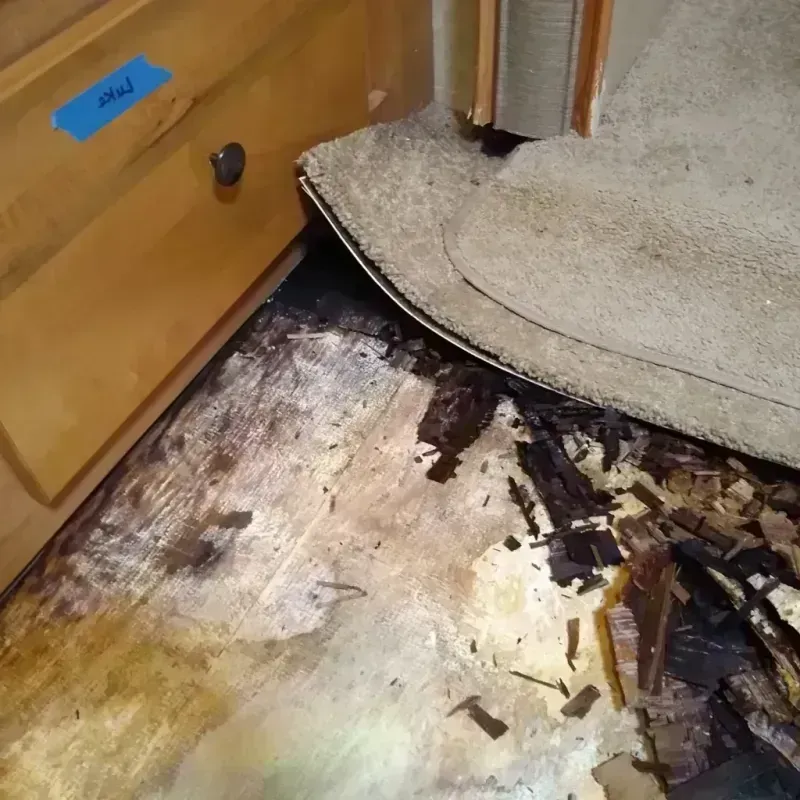 Best Wood Floor Water Damage Service in Pike County, PA